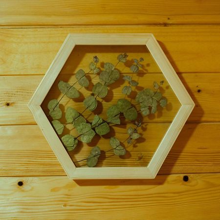 Planinska Kuca Zaliv Villa Zaovine Ngoại thất bức ảnh