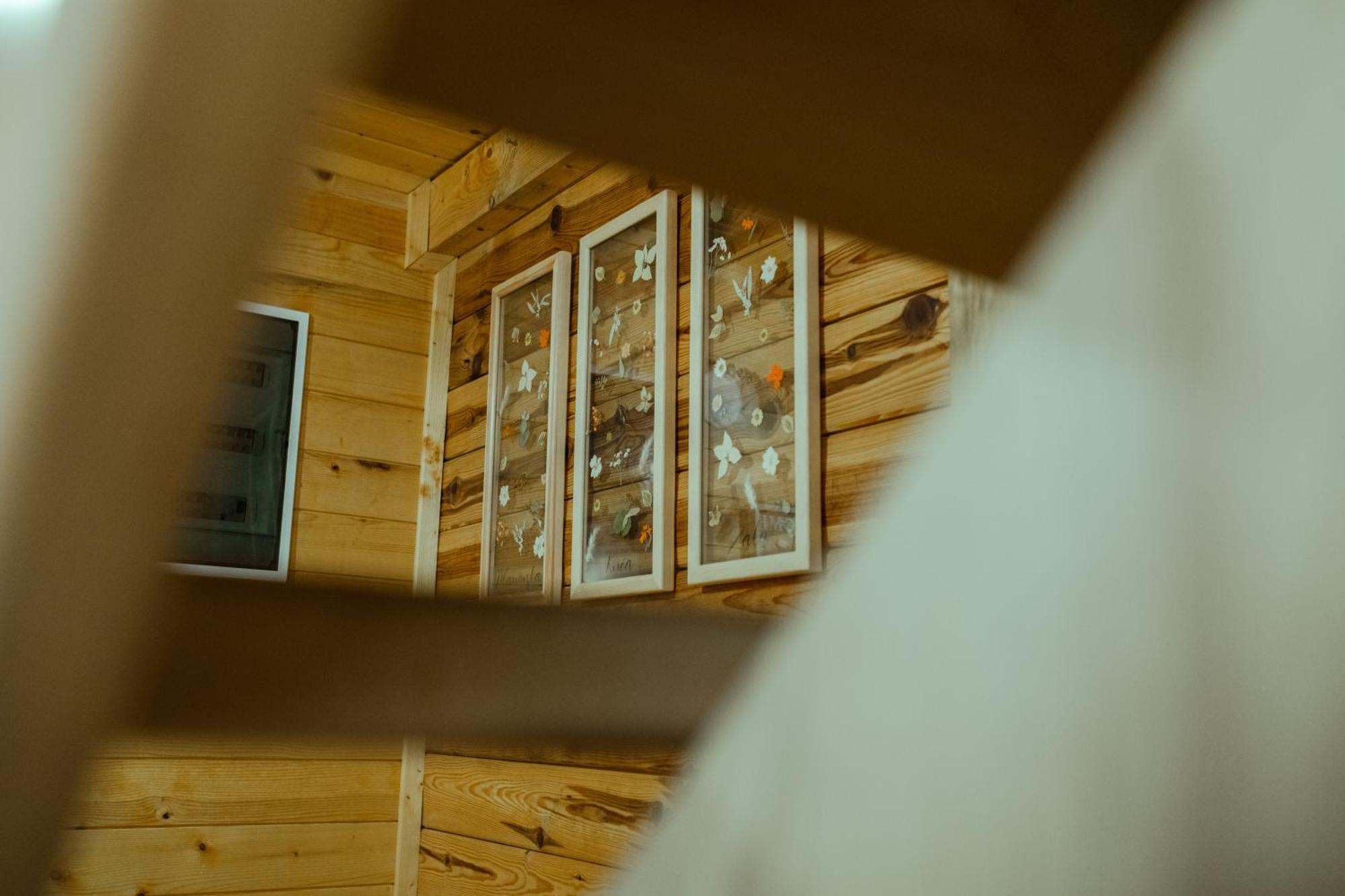 Planinska Kuca Zaliv Villa Zaovine Ngoại thất bức ảnh